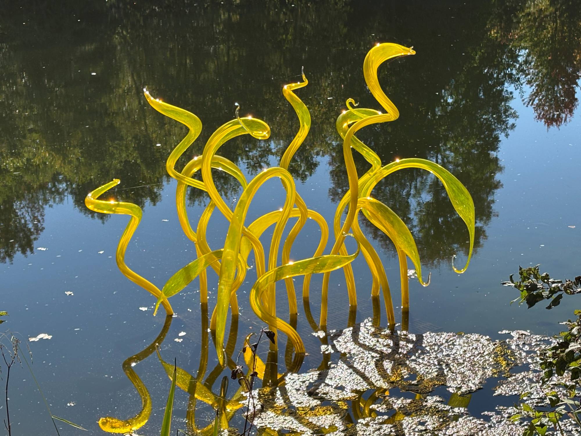 chihuly exhibit in the water